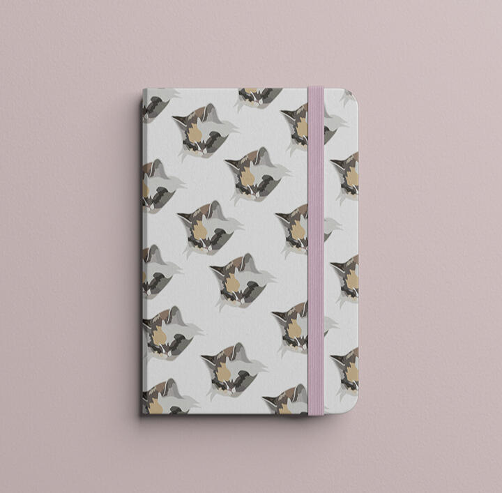 Cat Illustration Journal